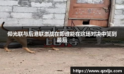 beats365仰光联与后港联激战在即谁能在这场对决中笑到最后